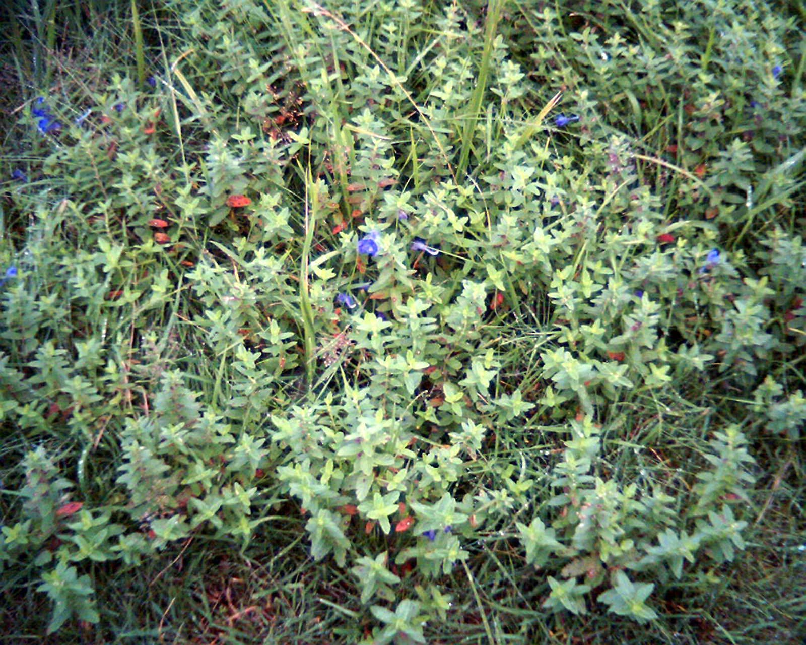 img20210202104813932111.jpg